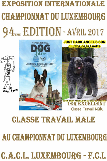 JUST CACL LUX 2017
